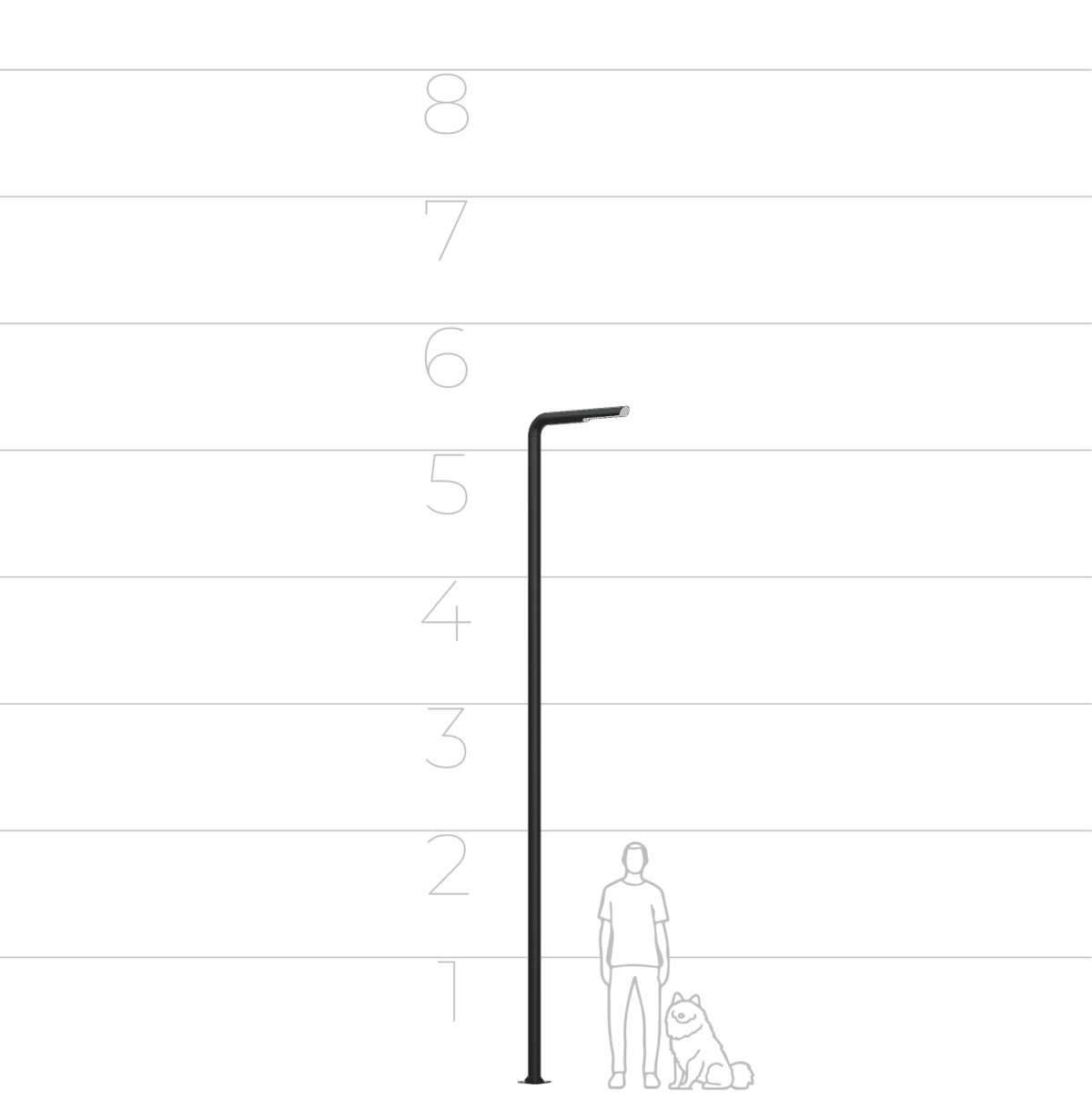 39561658 39561658