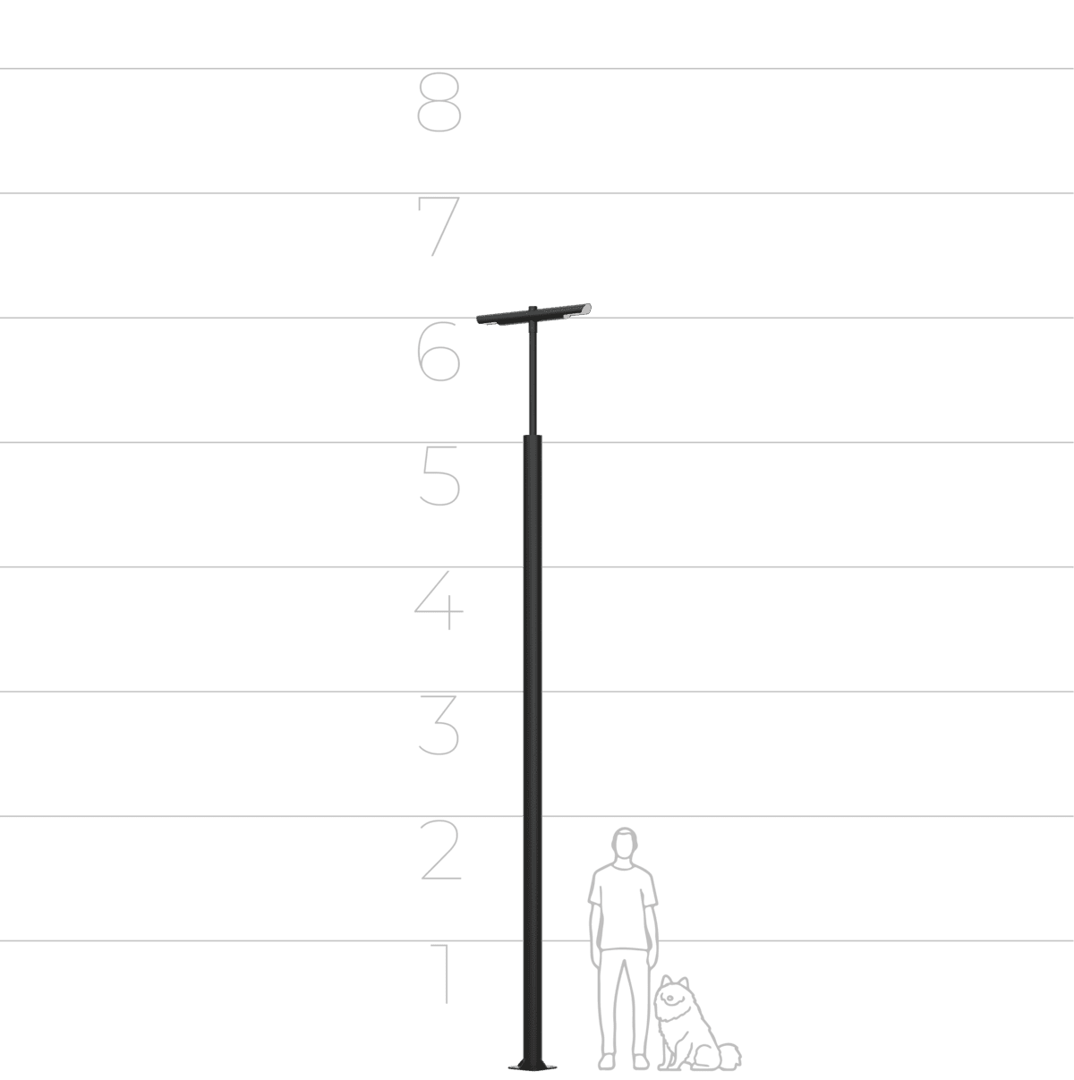 56486650 56486650