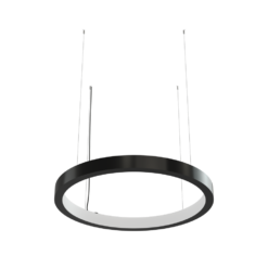 8003080041_ring_in